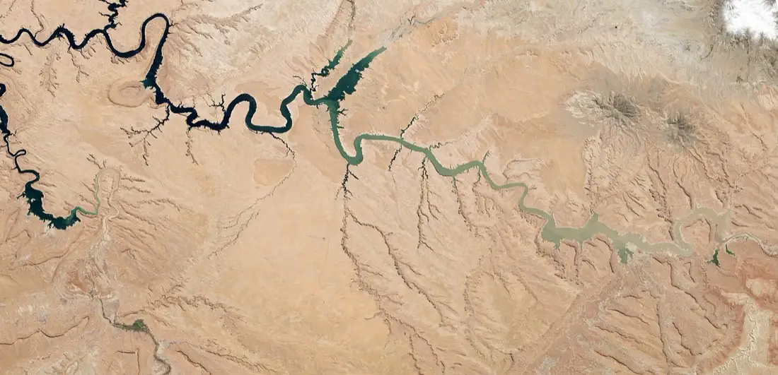 Satellite view of the upper reach of Lake Powell at low water, the reservoir narrowed to a winding green channel with dry side canyons branching off it.